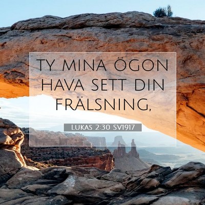 Picture 07 - Lukas 2:30 SV1917 - ty mina ögon hava sett din - Bible Verse Picture