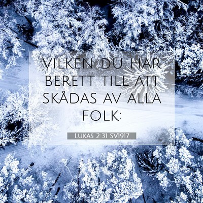 Picture 07 - Lukas 2:31 SV1917 - vilken du har berett till att skådas av alla - Bible Verse Picture