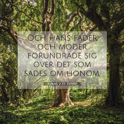 Picture 07 - Lukas 2:33 SV1917 - Och hans fader och moder förundrade sig över - Bible Verse Picture