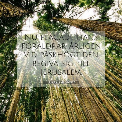 Picture 07 - Lukas 2:41 SV1917 - Nu plägade hans föräldrar årligen vid - Bible Verse Picture