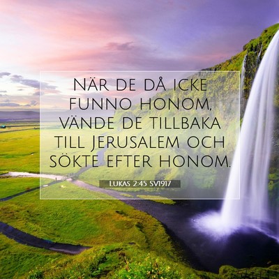 Picture 07 - Lukas 2:45 SV1917 - När de då icke funno honom, vände de tillbaka - Bible Verse Picture
