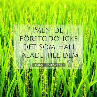 Picture 07 - Lukas 2:50 SV1917 - Men de förstodo icke det som han talade till - Bible Verse Picture
