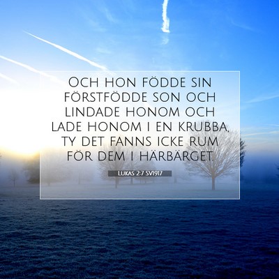 Picture 07 - Lukas 2:7 SV1917 - Och hon födde sin förstfödde son och lindade - Bible Verse Picture