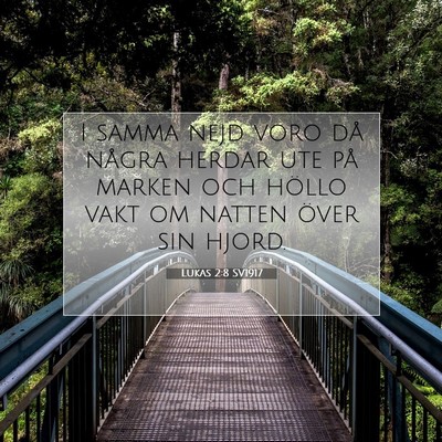 Picture 07 - Lukas 2:8 SV1917 - I samma nejd voro då några herdar ute på - Bible Verse Picture