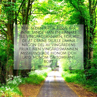 Picture 07 - Lukas 20:10 SV1917 - När sedan rätta tiden var inne, sände han en - Bible Verse Picture