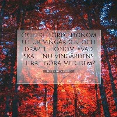 Picture 07 - Lukas 20:15 SV1917 - Och de förde honom ut ur vingården och dräpte - Bible Verse Picture