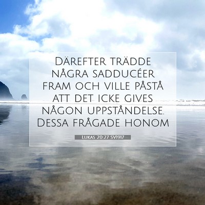 Picture 07 - Lukas 20:27 SV1917 - Därefter trädde några sadducéer fram och - Bible Verse Picture