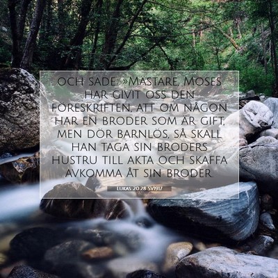 Picture 07 - Lukas 20:28 SV1917 - och sade: »Mästare, Moses har givit oss den - Bible Verse Picture