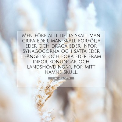 Picture 07 - Lukas 21:12 SV1917 - Men före allt detta skall man gripa eder, man - Bible Verse Picture