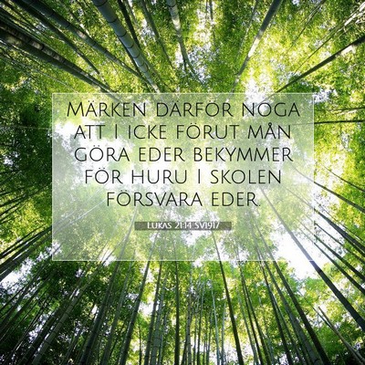 Picture 07 - Lukas 21:14 SV1917 - Märken därför noga att I icke förut mån - Bible Verse Picture