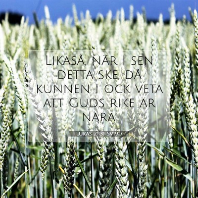 Picture 07 - Lukas 21:31 SV1917 - Likaså, när I sen detta ske, då kunnen I ock - Bible Verse Picture
