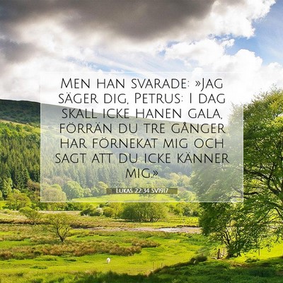 Picture 07 - Lukas 22:34 SV1917 - Men han svarade: »Jag säger dig, Petrus: I dag - Bible Verse Picture