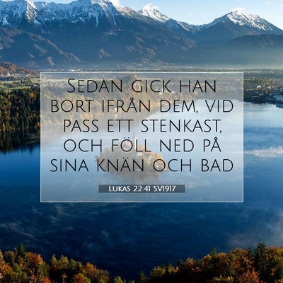Picture 07 - Lukas 22:41 SV1917 - Sedan gick han bort ifrån dem, vid pass ett - Bible Verse Picture
