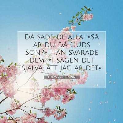 Picture 07 - Lukas 22:70 SV1917 - Då sade de alla: »Så är du då Guds Son?» - Bible Verse Picture