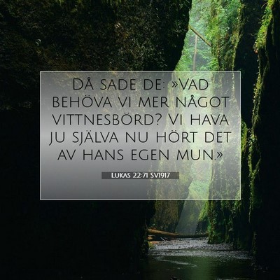 Picture 07 - Lukas 22:71 SV1917 - Då sade de: »Vad behöva vi mer något - Bible Verse Picture