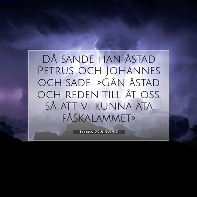 Picture 07 - Lukas 22:8 SV1917 - Då sände han åstad Petrus och Johannes och - Bible Verse Picture