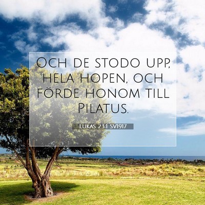 Picture 07 - Lukas 23:1 SV1917 - Och de stodo upp, hela hopen, och förde honom - Bible Verse Picture