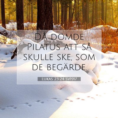 Picture 07 - Lukas 23:24 SV1917 - Då dömde Pilatus att så skulle ske, som de - Bible Verse Picture