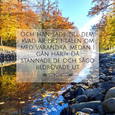 Picture 07 - Lukas 24:17 SV1917 - Och han sade till dem: »Vad är det I talen om - Bible Verse Picture