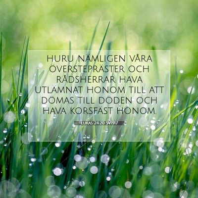 Picture 07 - Lukas 24:20 SV1917 - huru nämligen våra överstepräster och - Bible Verse Picture
