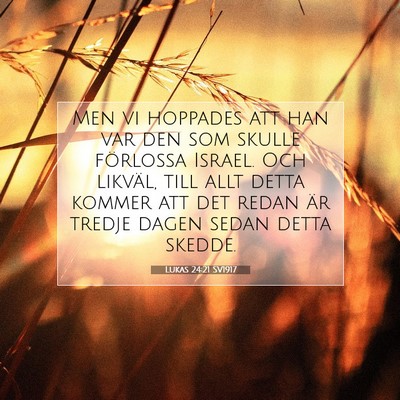 Picture 07 - Lukas 24:21 SV1917 - Men vi hoppades att han var den som skulle - Bible Verse Picture