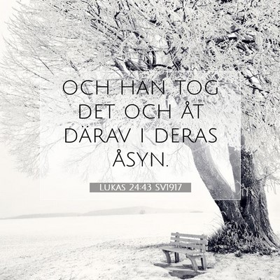 Picture 07 - Lukas 24:43 SV1917 - och han tog det och åt därav i deras - Bible Verse Picture