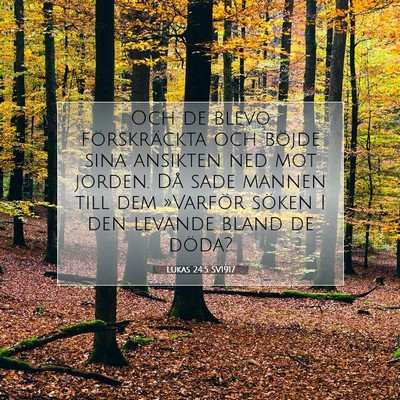 Picture 07 - Lukas 24:5 SV1917 - Och de blevo förskräckta och böjde sina - Bible Verse Picture
