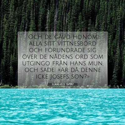 Picture 07 - Lukas 4:22 SV1917 - Och de gåvo honom alla sitt vittnesbörd och - Bible Verse Picture