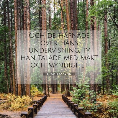 Picture 07 - Lukas 4:32 SV1917 - Och de häpnade över hans undervisning, ty han - Bible Verse Picture