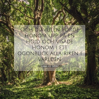 Picture 07 - Lukas 4:5 SV1917 - Och djävulen förde honom upp på en höjd och - Bible Verse Picture