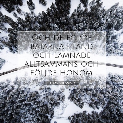 Picture 07 - Lukas 5:11 SV1917 - Och de förde båtarna i land och lämnade - Bible Verse Picture