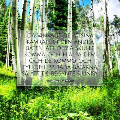 Picture 07 - Lukas 5:7 SV1917 - Då vinkade de åt sina kamrater i den andra - Bible Verse Picture