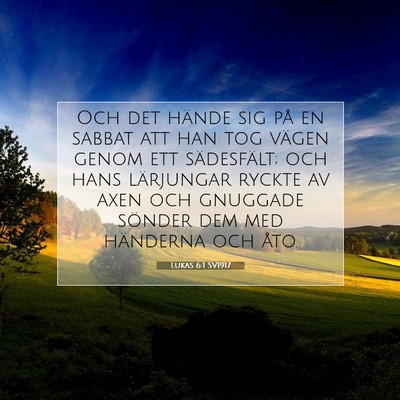 Picture 07 - Lukas 6:1 SV1917 - Och det hände sig på en sabbat att han tog - Bible Verse Picture