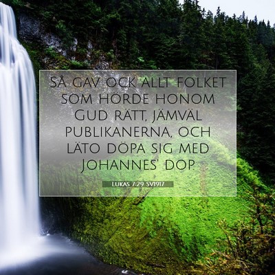 Picture 07 - Lukas 7:29 SV1917 - Så gav ock allt folket som hörde honom Gud - Bible Verse Picture