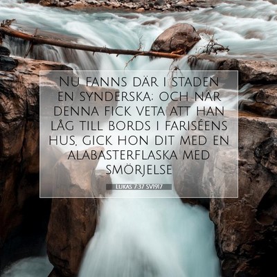 Picture 07 - Lukas 7:37 SV1917 - Nu fanns där i staden en synderska; och när - Bible Verse Picture