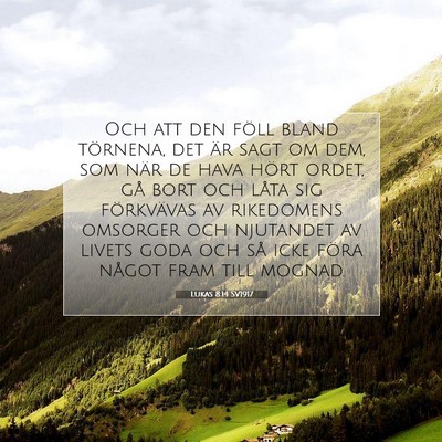 Picture 07 - Lukas 8:14 SV1917 - Och att den föll bland törnena, det är sagt om - Bible Verse Picture
