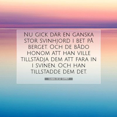 Picture 07 - Lukas 8:32 SV1917 - Nu gick där en ganska stor svinhjord i bet på - Bible Verse Picture