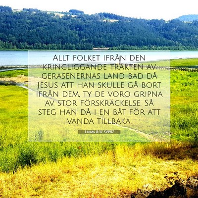 Picture 07 - Lukas 8:37 SV1917 - Allt folket ifrån den kringliggande trakten av - Bible Verse Picture