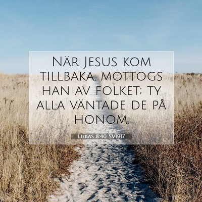 Picture 07 - Lukas 8:40 SV1917 - När Jesus kom tillbaka, mottogs han av folket; - Bible Verse Picture