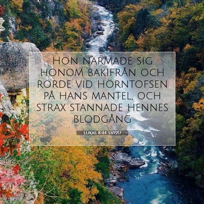 Picture 07 - Lukas 8:44 SV1917 - Hon närmade sig honom bakifrån och rörde vid - Bible Verse Picture