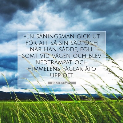Picture 07 - Lukas 8:5 SV1917 - »En såningsman gick ut för att så sin säd. - Bible Verse Picture