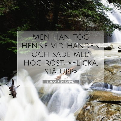 Picture 07 - Lukas 8:54 SV1917 - Men han tog henne vid handen och sade med hög - Bible Verse Picture