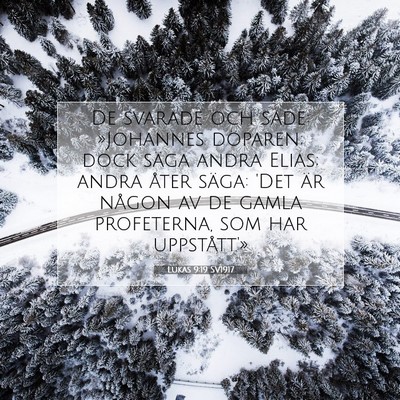 Picture 07 - Lukas 9:19 SV1917 - De svarade och sade: »Johannes döparen; dock - Bible Verse Picture