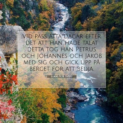 Picture 07 - Lukas 9:28 SV1917 - Vid pass åtta dagar efter det att han hade talat - Bible Verse Picture