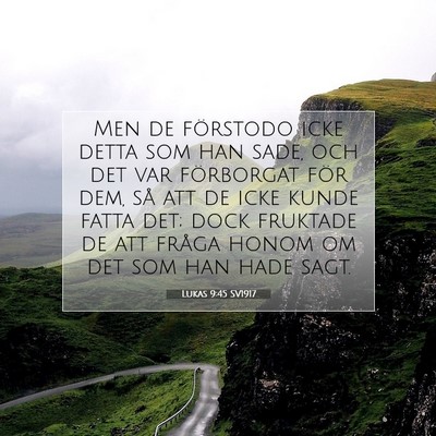 Picture 07 - Lukas 9:45 SV1917 - Men de förstodo icke detta som han sade, och det - Bible Verse Picture