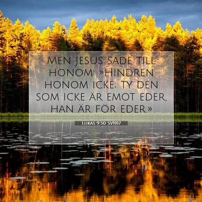 Picture 07 - Lukas 9:50 SV1917 - Men Jesus sade till honom: »Hindren honom icke; - Bible Verse Picture