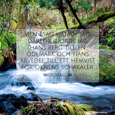 Picture 07 - Malaki 1:3 SV1917 - men Esau hatade jag; därför gjorde jag hans - Bible Verse Picture