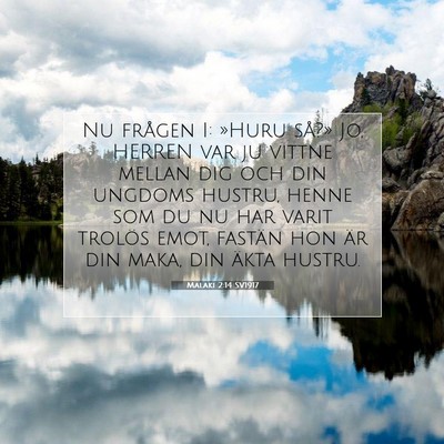 Picture 07 - Malaki 2:14 SV1917 - Nu frågen I: »Huru så?» Jo, HERREN var ju - Bible Verse Picture