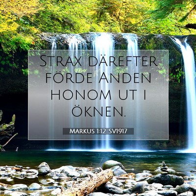 Picture 07 - Markus 1:12 SV1917 - Strax därefter förde Anden honom ut i - Bible Verse Picture
