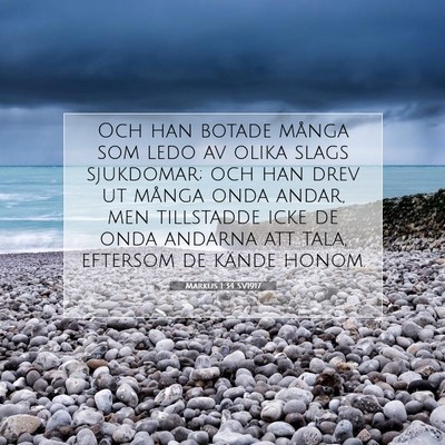 Picture 07 - Markus 1:34 SV1917 - Och han botade många som ledo av olika slags - Bible Verse Picture